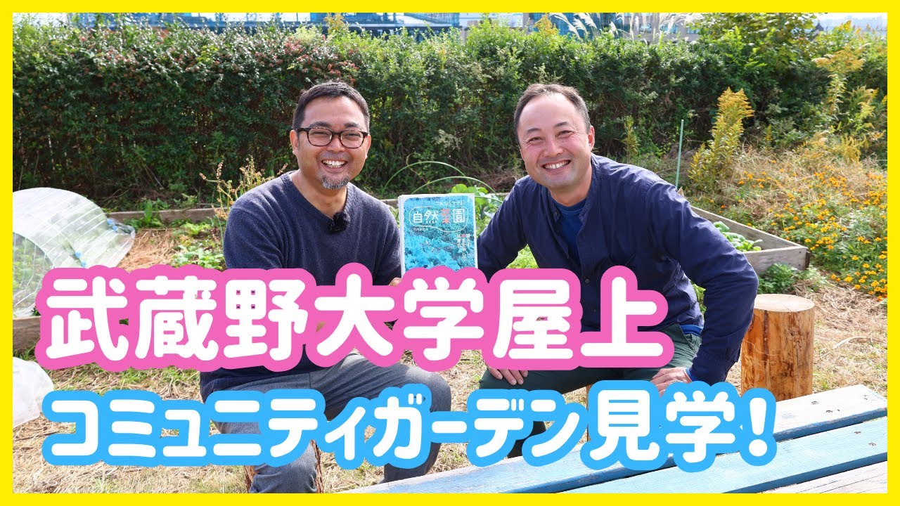 【必見】武蔵野大学有明キャンパス屋上にあるパーマカルチャーガーデンの自然菜園見学会！