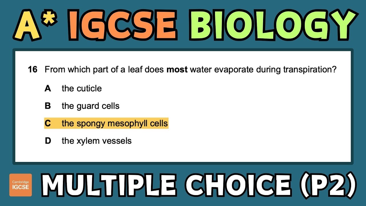 IGCSE Biology - How to get an A* in your MULTIPLE CHOICE exam (paper 2)