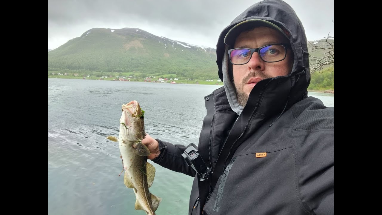 ryby brały jak szalone/Norwegia dorsz na spinning/farma łososia/ proza wędkarstwa na fiordzie