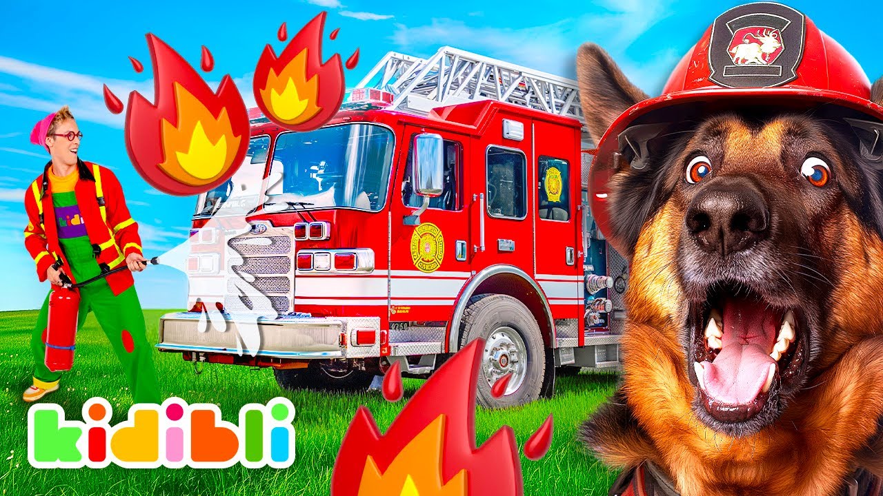 Fire-fighting Dogs Compilation for Kids | Educational Videos For Children | Kidibli
