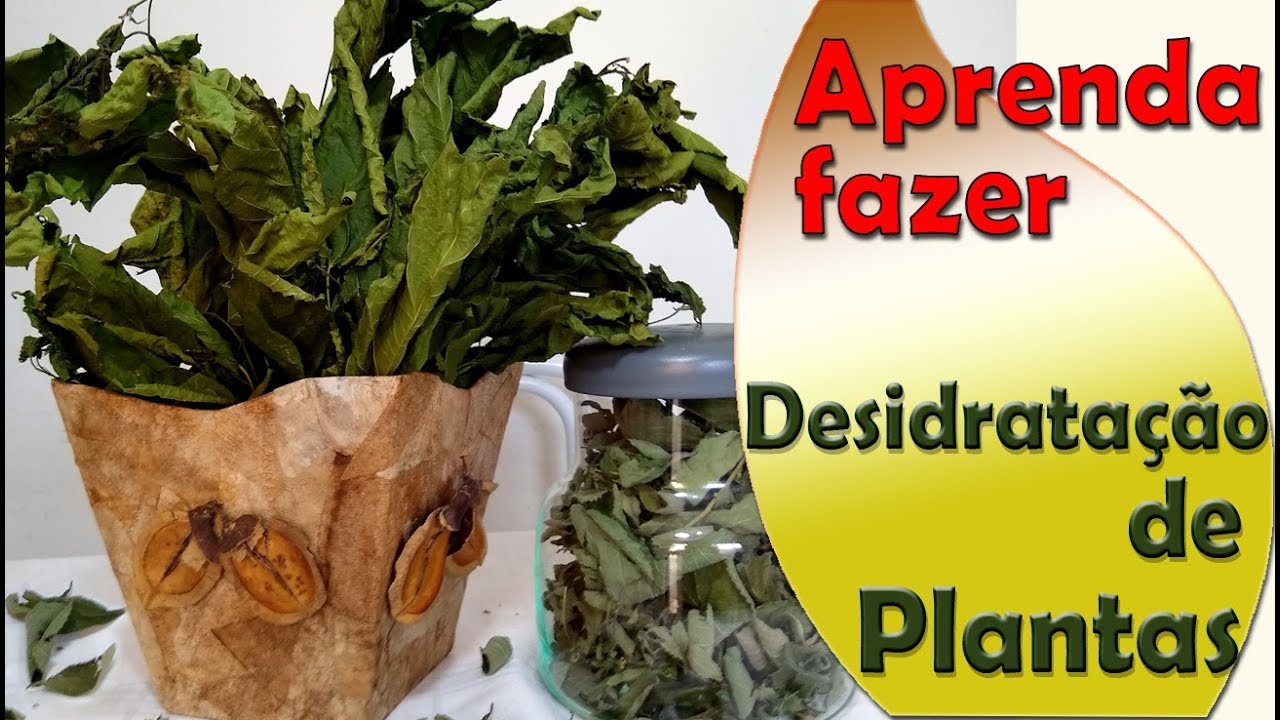 Como Desidratar Plantas para uso em Sabonetes e Extratos