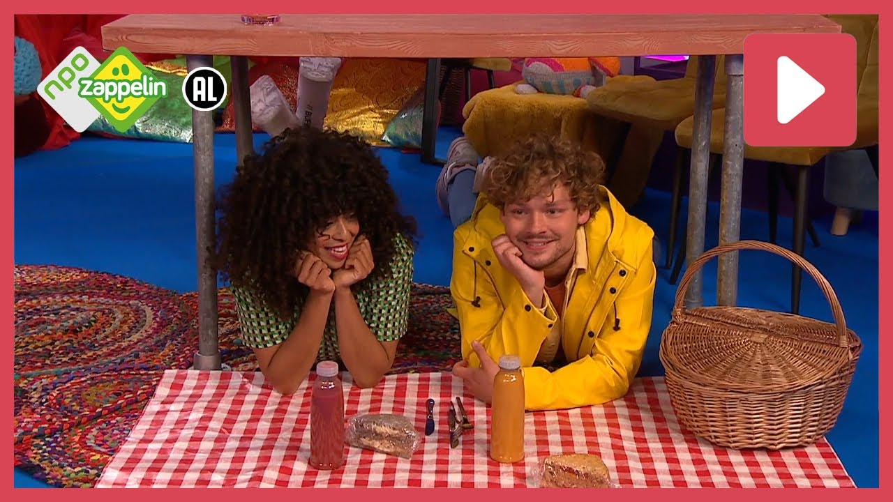 PICKNICK | Zin in Zappelin | NPO Zappelin
