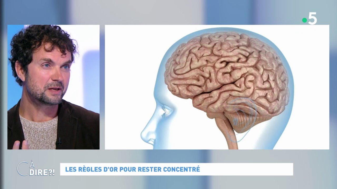 Les règles d'or pour rester concentré 