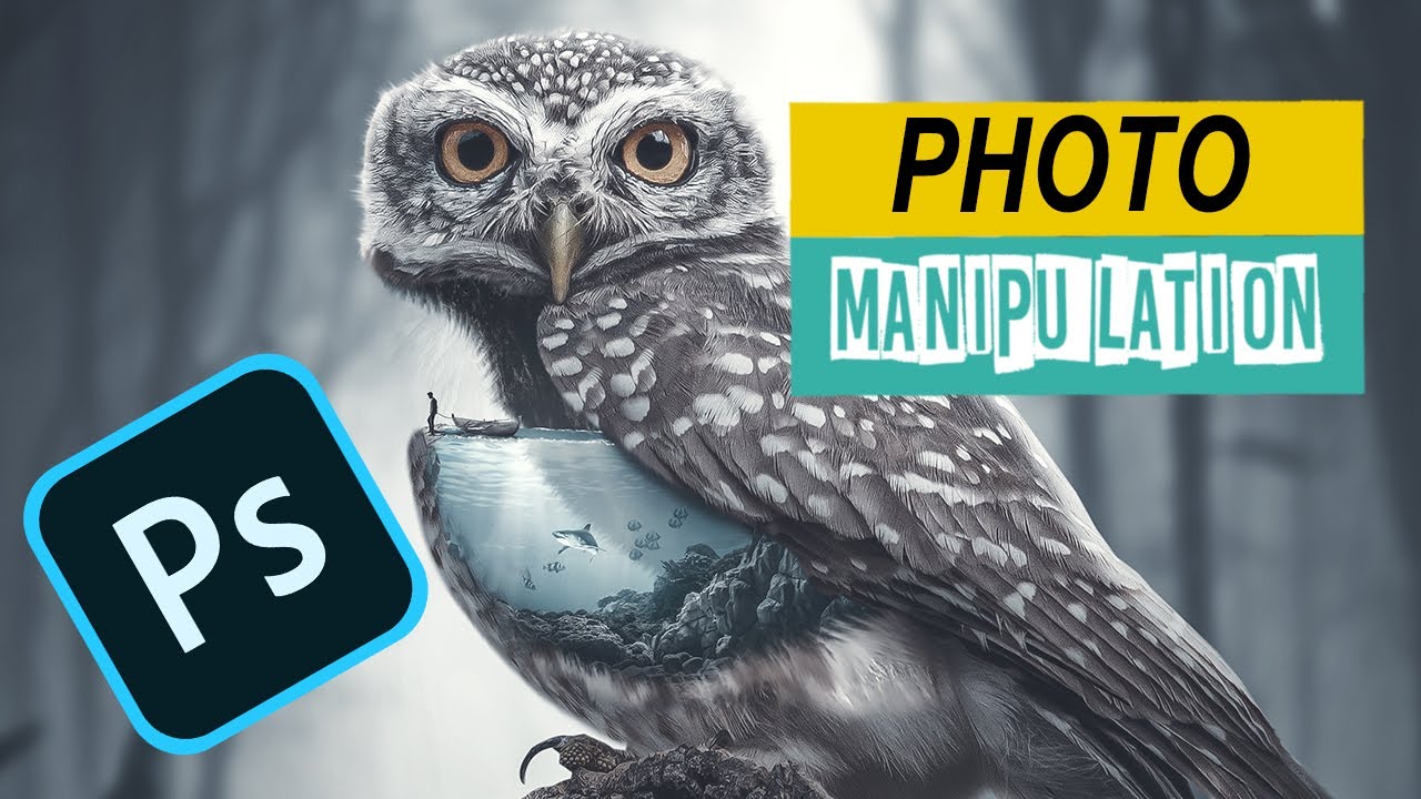 photo manipulation owl photoshop