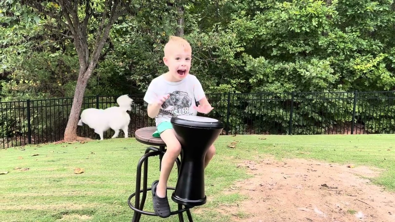 #bilalgöregen #darbuka #greatpyrenees 