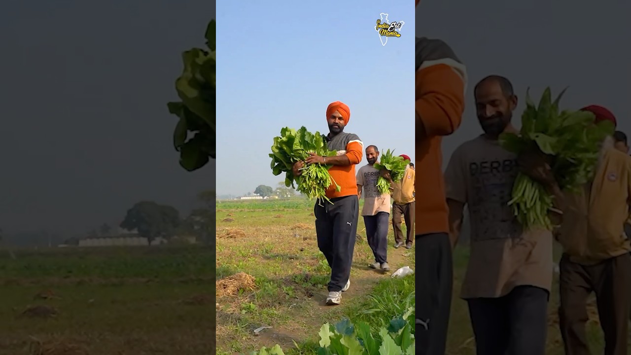Farmer Making Village Style Pure Sarson Da Saag Makke Di Roti Rs. 99/- Only #jalandhar  #shorts