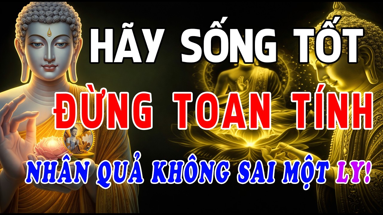 Cứ Sống Tốt, Đừng Toan Tính, Đừng Sợ Thiệt Thòi, Trời Cao Có Mắt – Nhân Quả Không Sai Một Ly!
