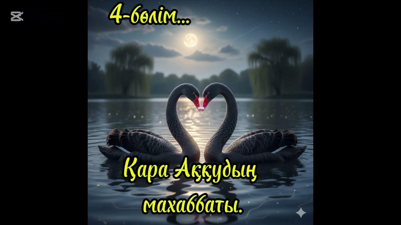 Қара Аққудың Махаббаты.