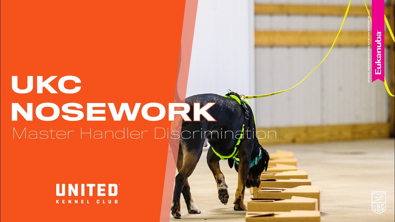 UKC Nosework: Master Class - Handler Discrimination