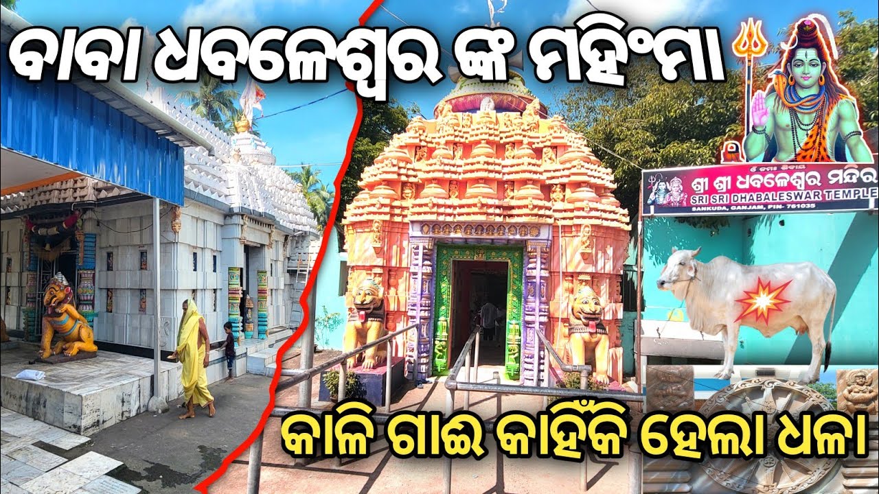 Dhabaleswar Temple ||ଧବଳେଶ୍ଵର ମନ୍ଦିର ସାଙ୍କୁଡା ଗଞ୍ଜାମ ||Odisha tourism  