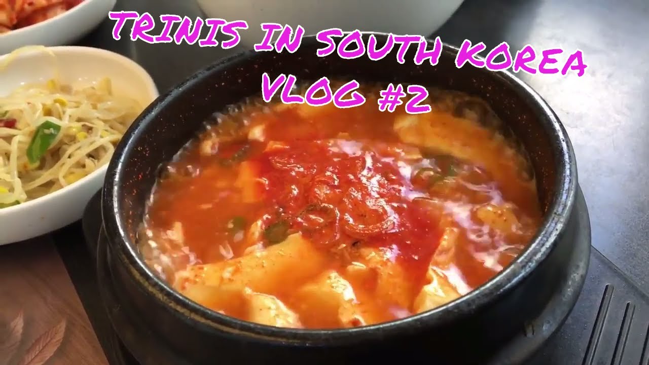 TRINIS IN SOUTH KOREA VLOG #2