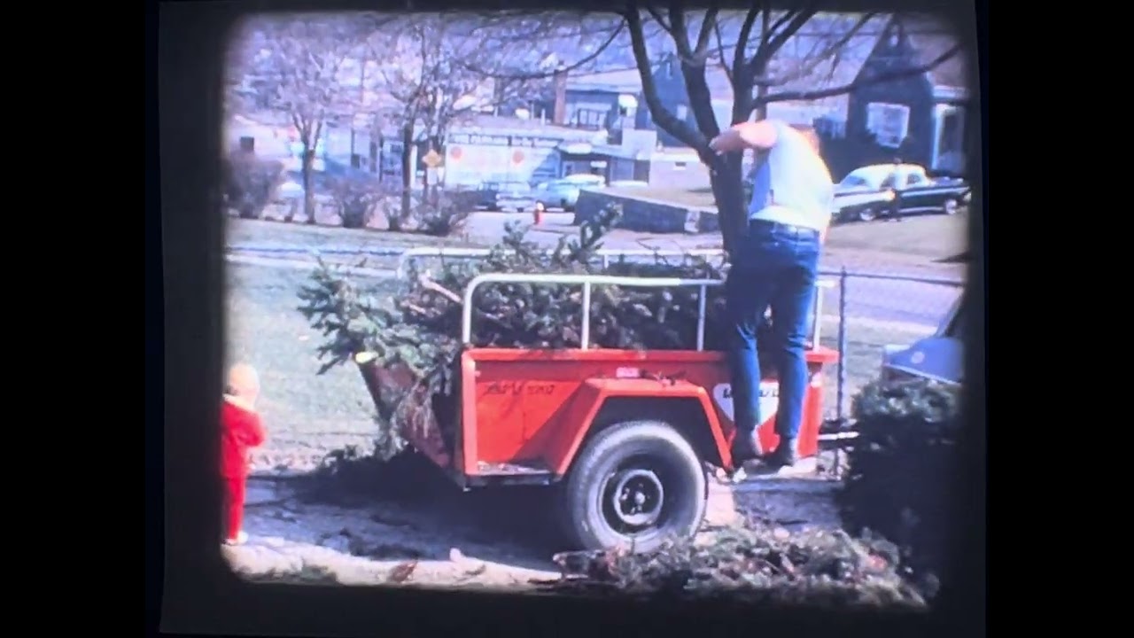 Easter Sunday 1967 and Tree Cleanup