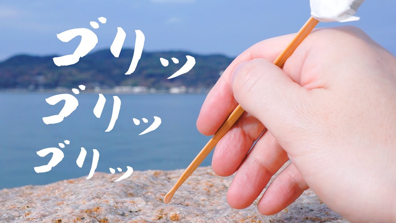 ASMR マリンパークでゴリゴリ耳かき (Public・お散歩)
