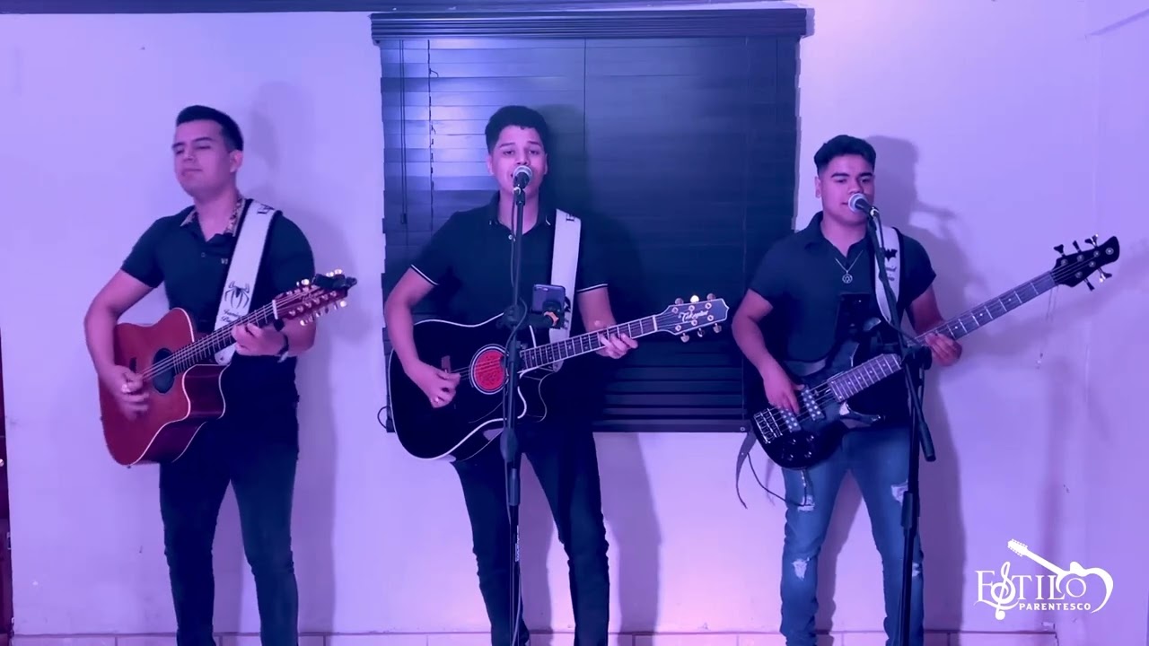 ESTILO PARENTESCO - MIX DE CUMBIAS SIERREÑAS (EL FOCO.LA MARIA.DAME DAME)
