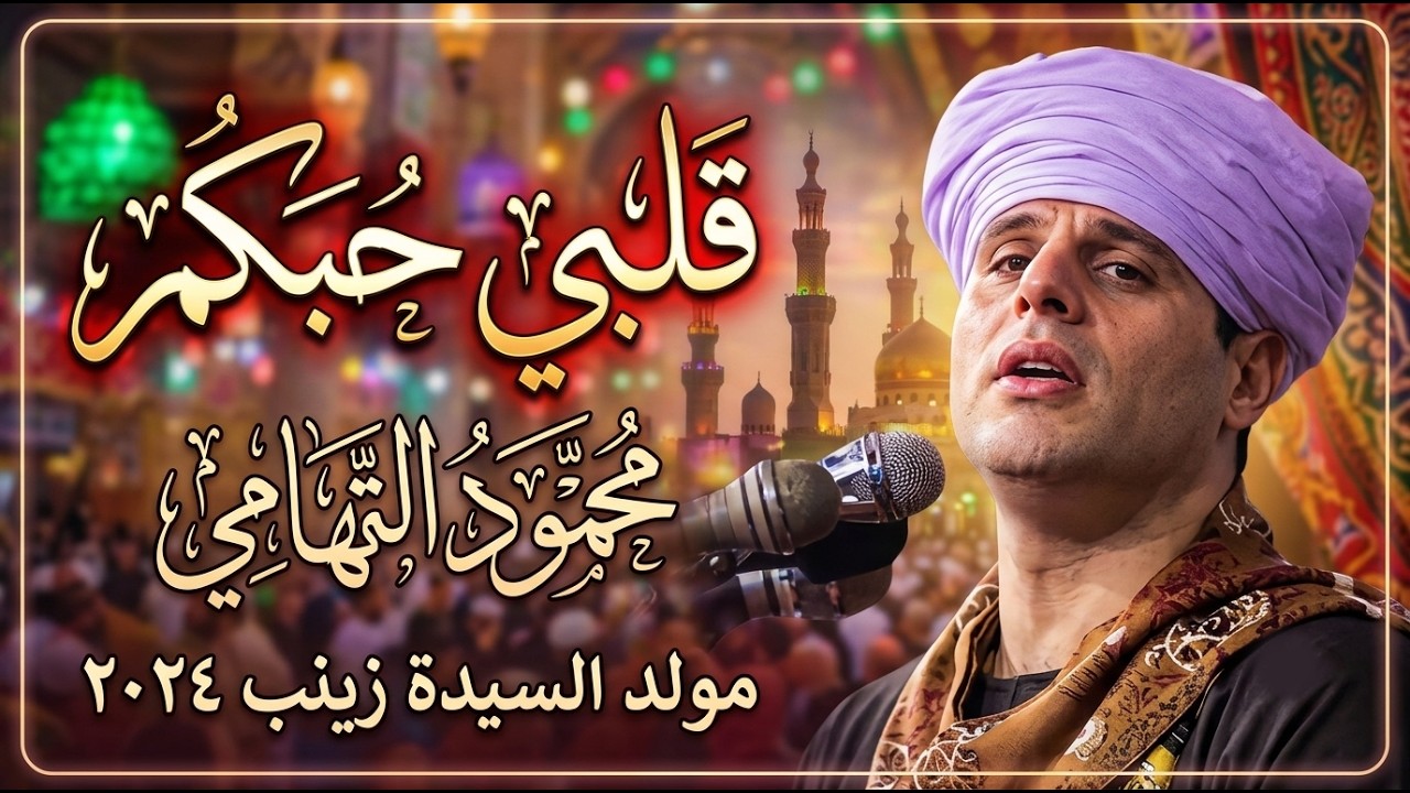 قلبي حبكم | محمود التهامي | مولد السيدة زينب ٢٠٢٤