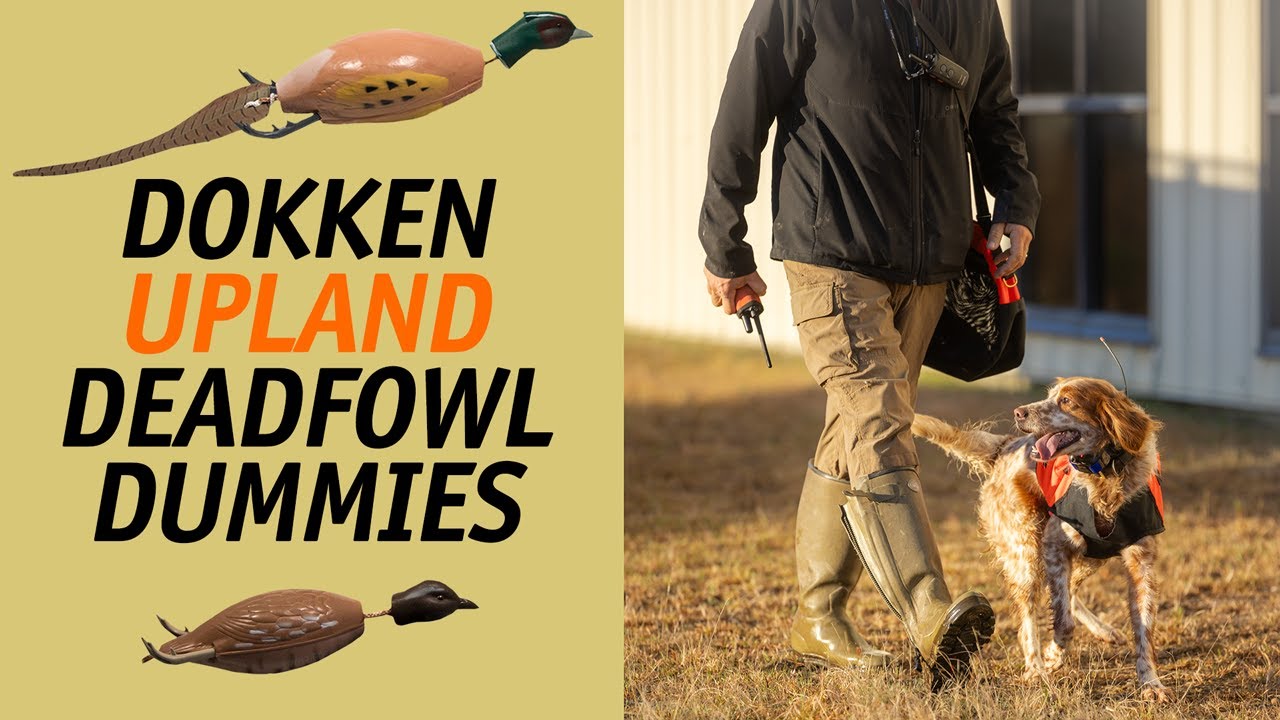 Dokken DeadFowl: Best Training Dummy for Upland Dogs
