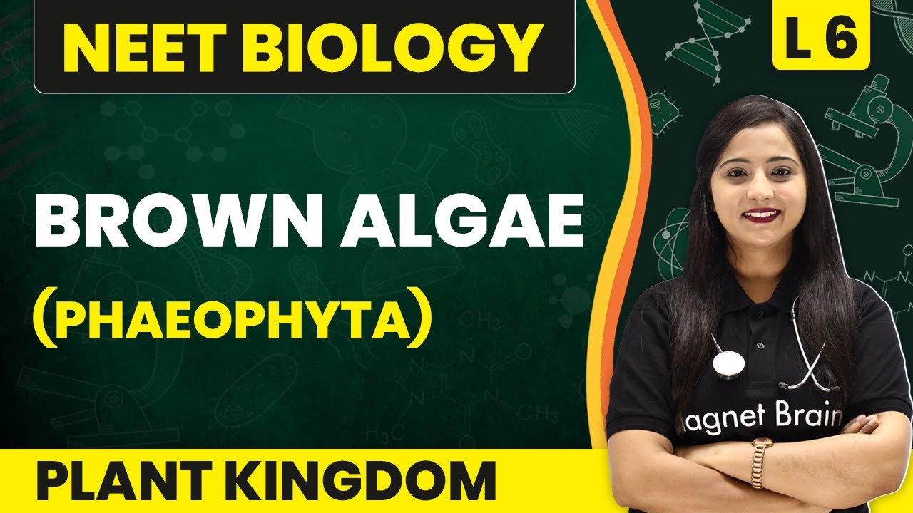Brown Algae - Phaeophyta | Plant Kingdom - L6 (Concepts) | NEET Biology