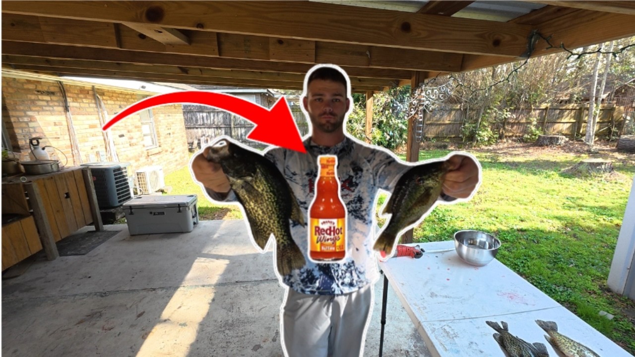 Panfish BUFFALO fish bites! (Catch, Clean, Cook)