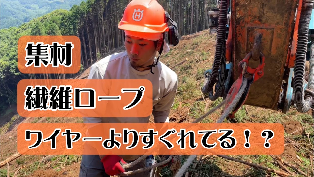 繊維ロープによる集材#forestry #japan #林業 #自然