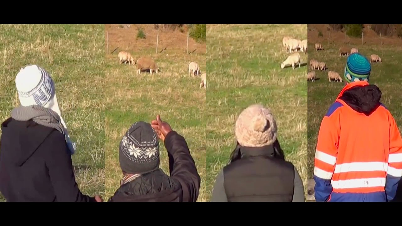 My Sheep Hear My Voice [AMAZING TEST ]- John 10:27 (Bible Truth Proven )