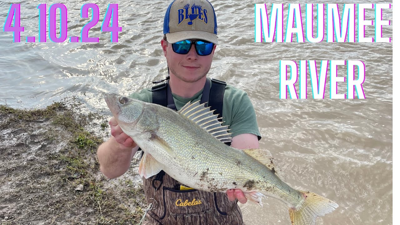 Non-Stop Walleyes (Maumee River 2024)
