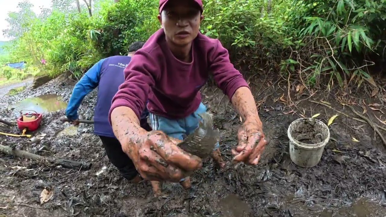 Chạy ao cá bé xíu nhưng không ngờ … thật nhiều cá 