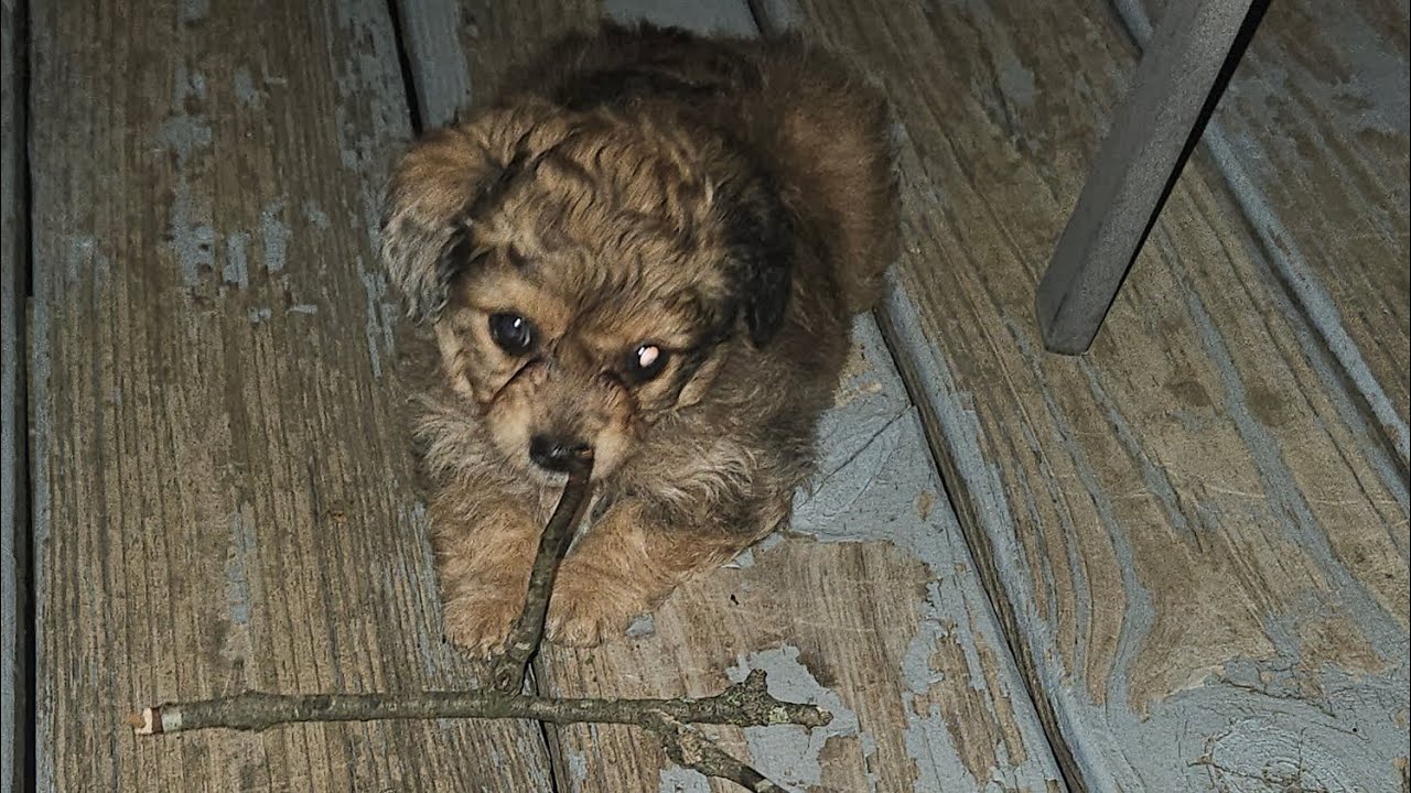 Welcome Newest Member: Tex 