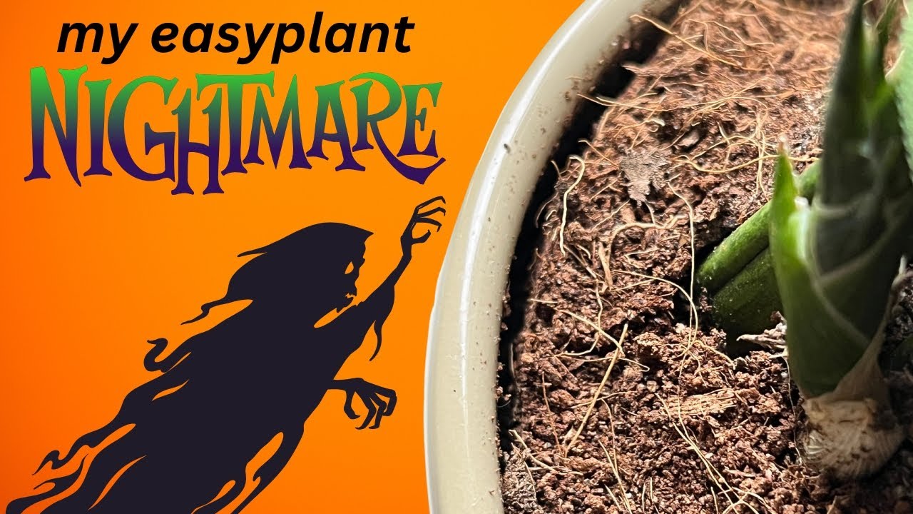 Мой КОШМАР Easyplant | История неудач | Проблемы с горшками с автополивом