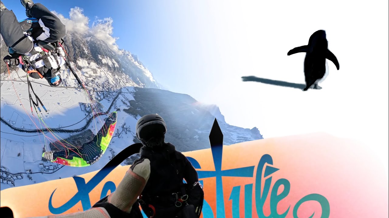 …BUT WHY? (Acro Paraglding) | Max Martini 