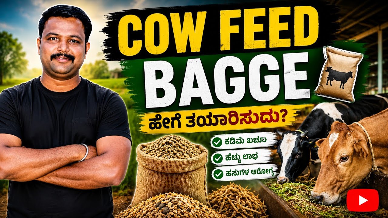 ಪಶು ಆಹಾರ ಹೇಗೆ ತಯಾರಿಸುತ್ತಾರೆ ನೋಡಿ || cattle feed manufacturing plant