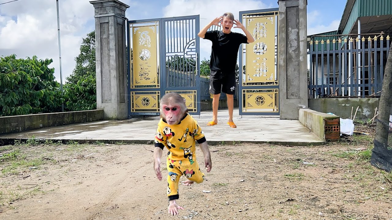 Идет дождь! Папа пытался удержать Лука от выхода на улицу поиграть, но был бессилен.