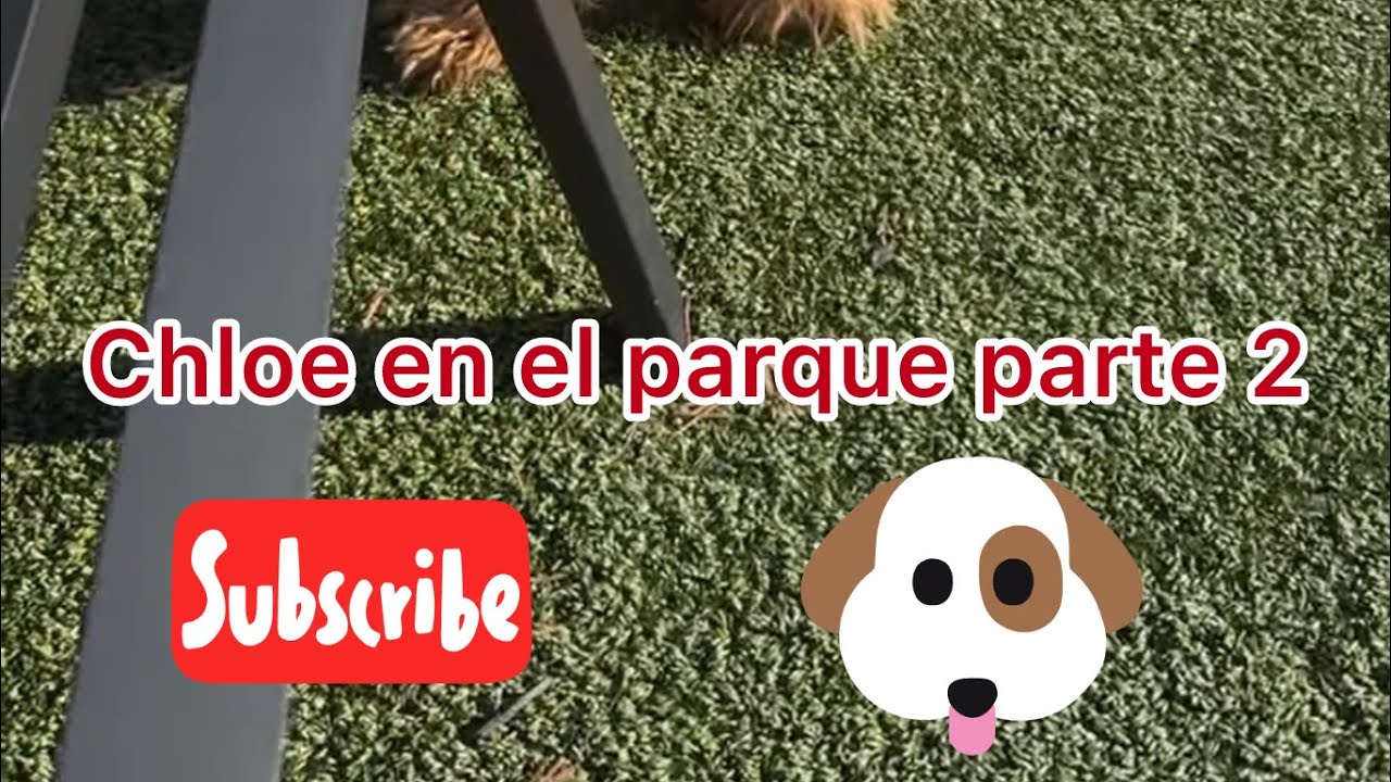 Besita D is live!