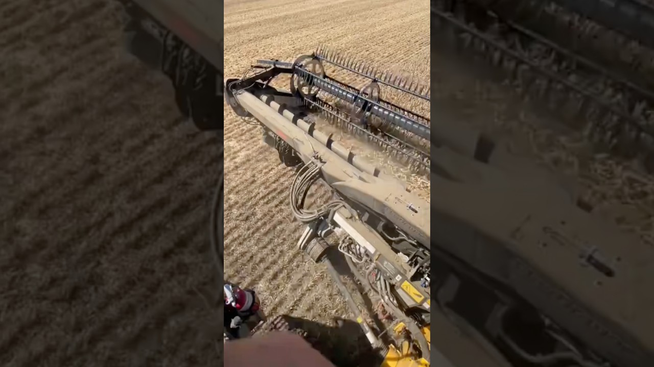 THIS HARVEST NEVER STOPS! 🌾🚜 #farming #tractor #agriculture #farm #harvest #farmlife #agro