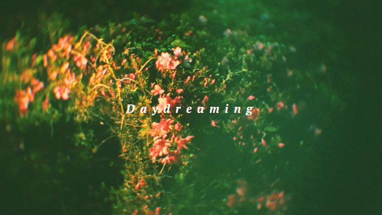 Newdums - Daydreaming