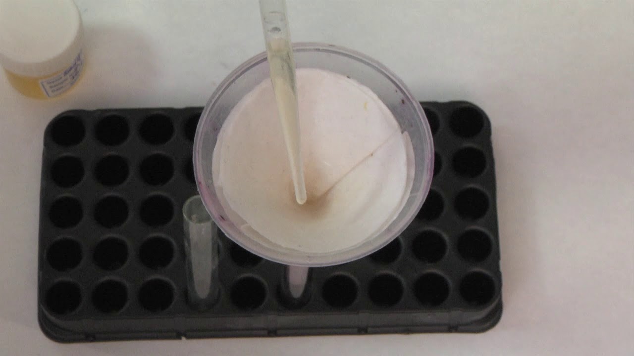 Modified Fouchet's Test