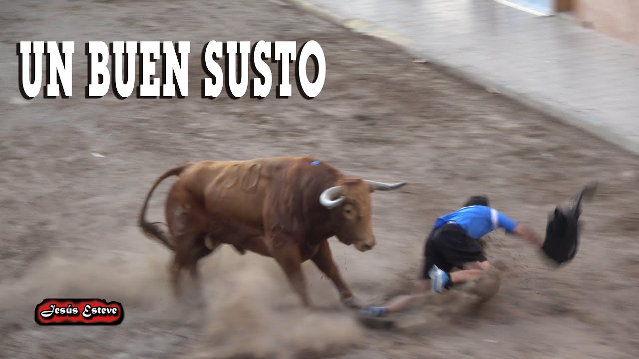 2 TOROS UN CUADRI Y JUAN PEDRO DOMECQ