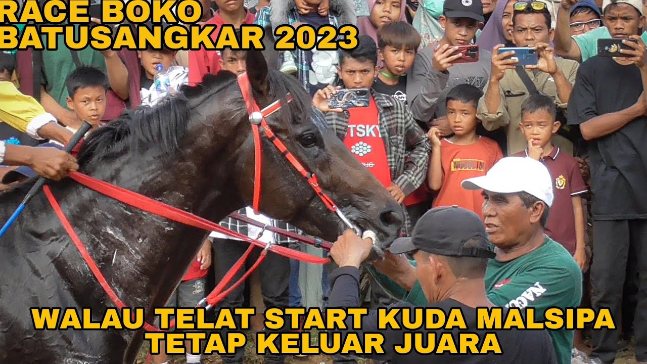 BOKO PACUAN KUDA BATUSANGKAR 2023