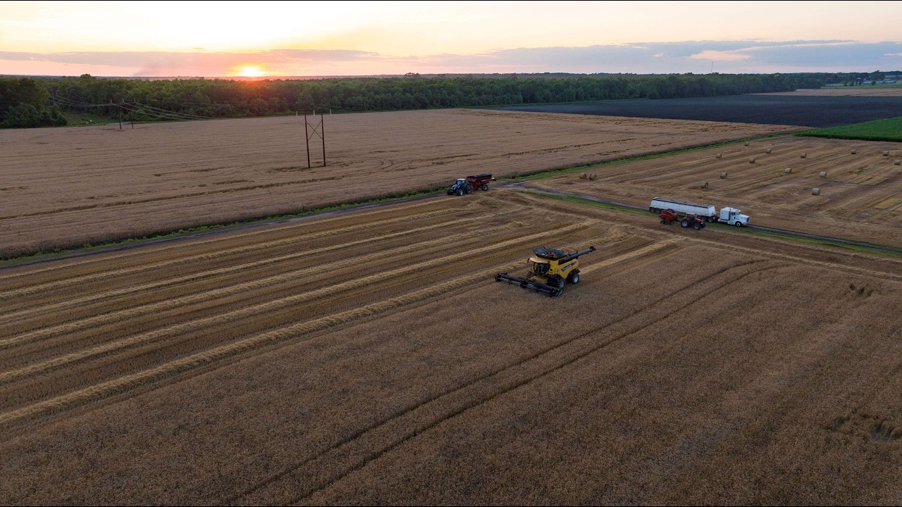 Regenerate / Resilience: Collaborating to support regenerative wheat agriculture