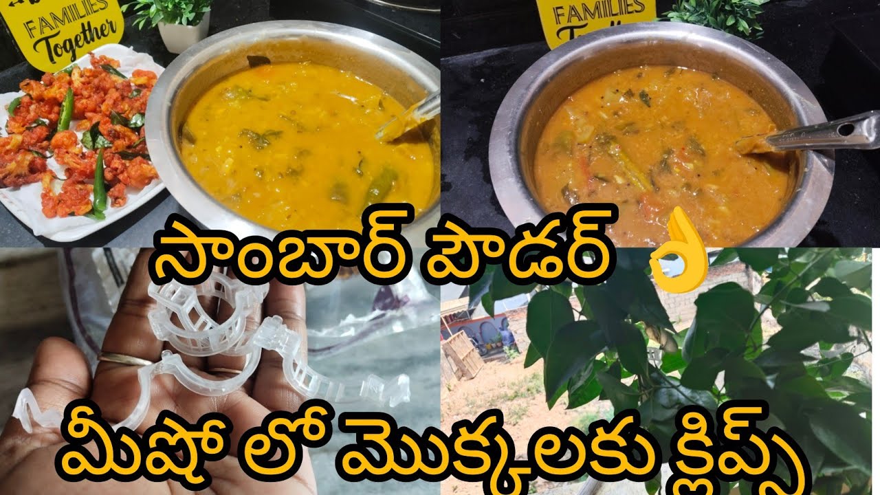 పెళ్లిళ్ల భోజనాల్లో సాంబార్ పొడి ఇలాగే చేస్తారు 😋|plant clips|gobi 65🥦