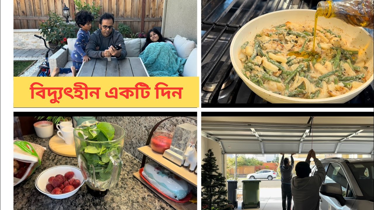 বিদ্যুৎহীন একটা দিন..প্রচণ্ড ঠাণ্ডায় আমেরিকায়