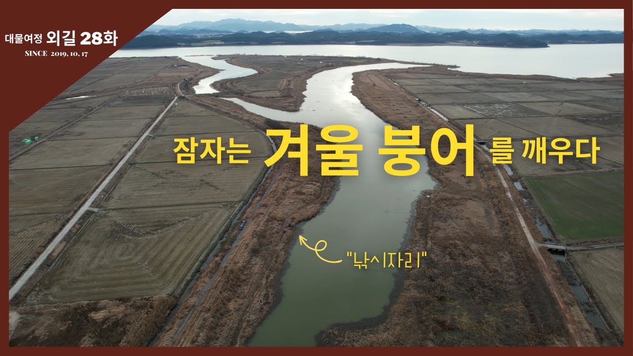 대물여정 외길 [28화] 잠자는 겨울 붕어를 깨우다