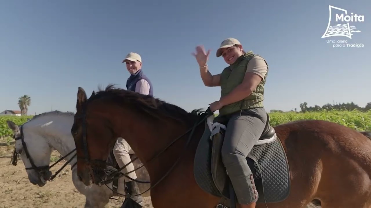Estão abertas as inscrições para a XXIII Romaria a Cavalo Moita - Viana do Alentejo