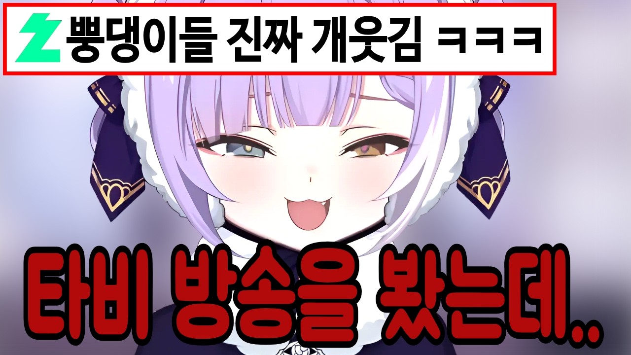 뿡댕이와 타비의 WWE를 직관한 부키 ㅋㅋㅋㅋㅋㅋㅋㅋㅋ