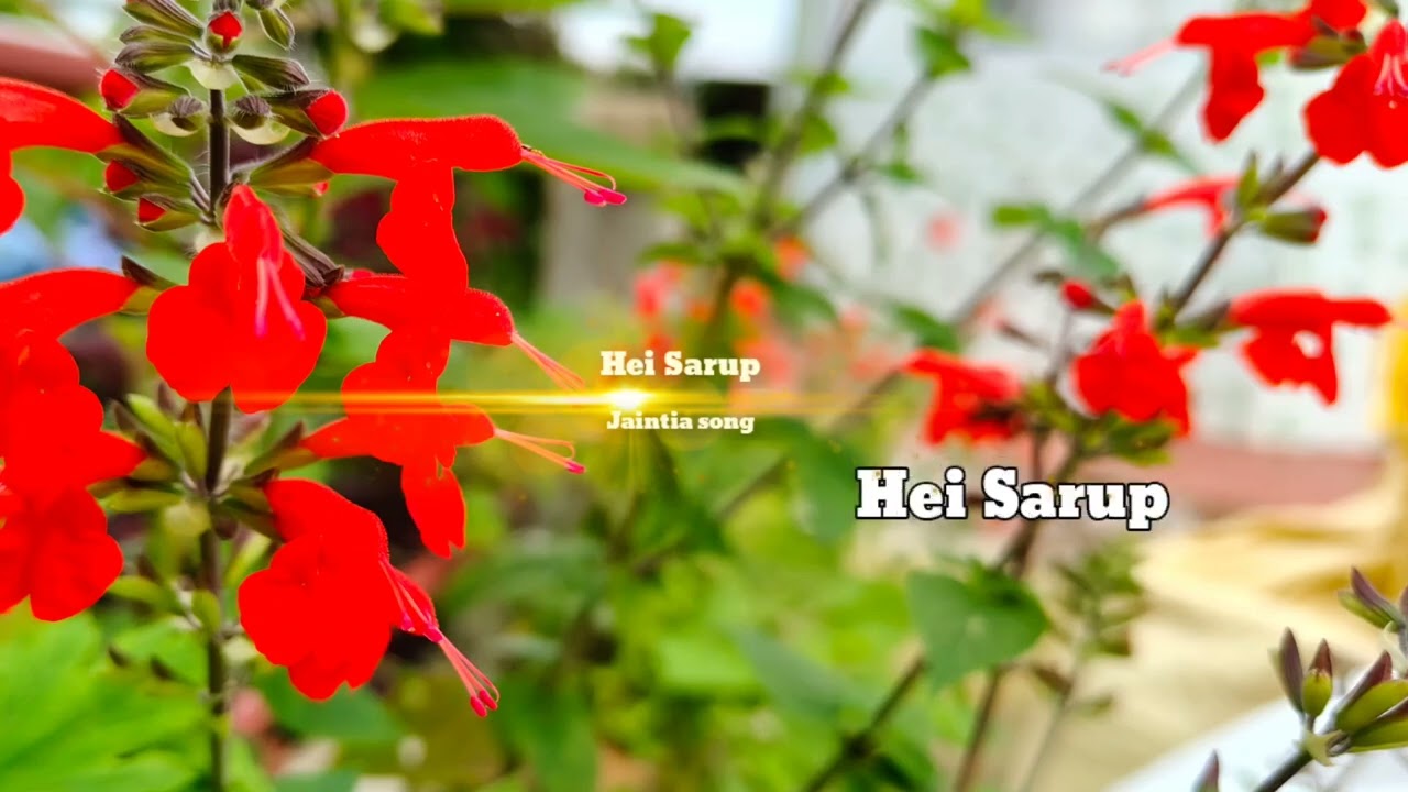 Hei Sarup Jaintia Old Song #surrim #jaintia #bestsong #oldsong 