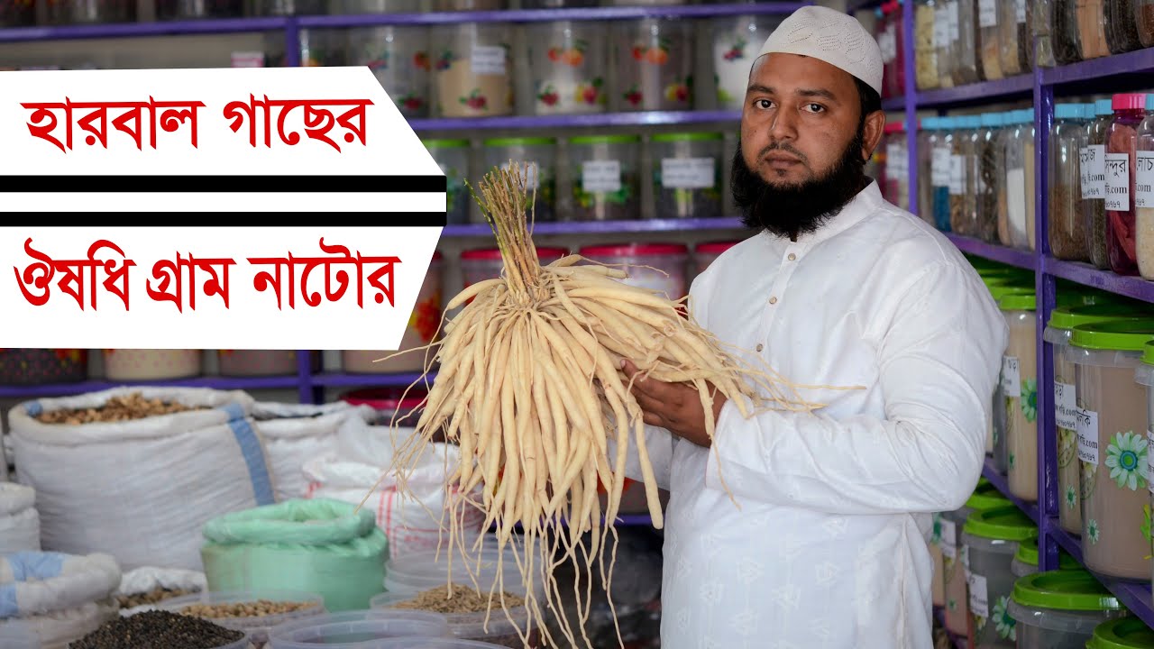 গাছগাছালি কবিরাজি। সকল প্রকার গাছের শুকনা পাউডার ঔষধ। নাটোর ঔষধি গ্রাম ত্রি ফলা অর্জুন অশ্বগন্ধা