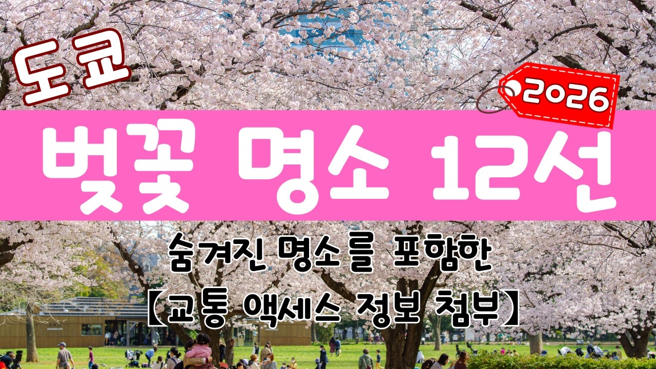 도쿄 벚꽃의 모든 것: 유명 명소부터 숨은 명소까지 | 2026