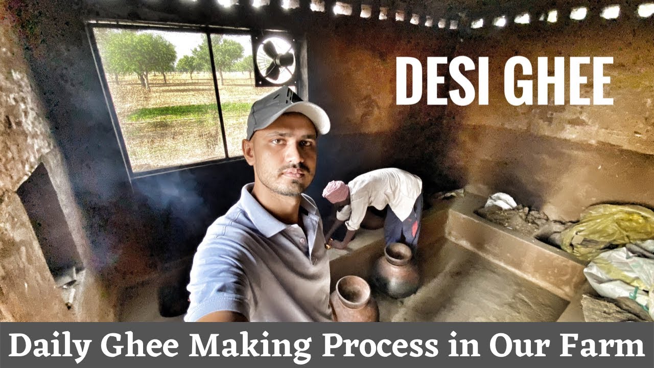 Hmare Farm Par Daily Routine Ka Desi Ghee Making Process🤩 || कसुतम्
