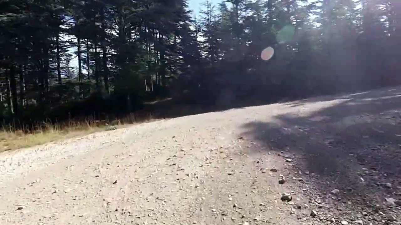 Mont Ventoux Route Forestiêre 17-08-2024