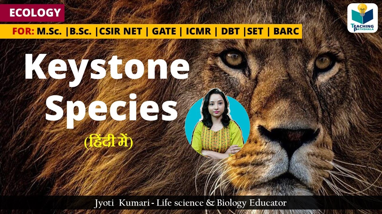 KEYSTONE SPECIES | ECOLOGY | JYOTI KUMARI