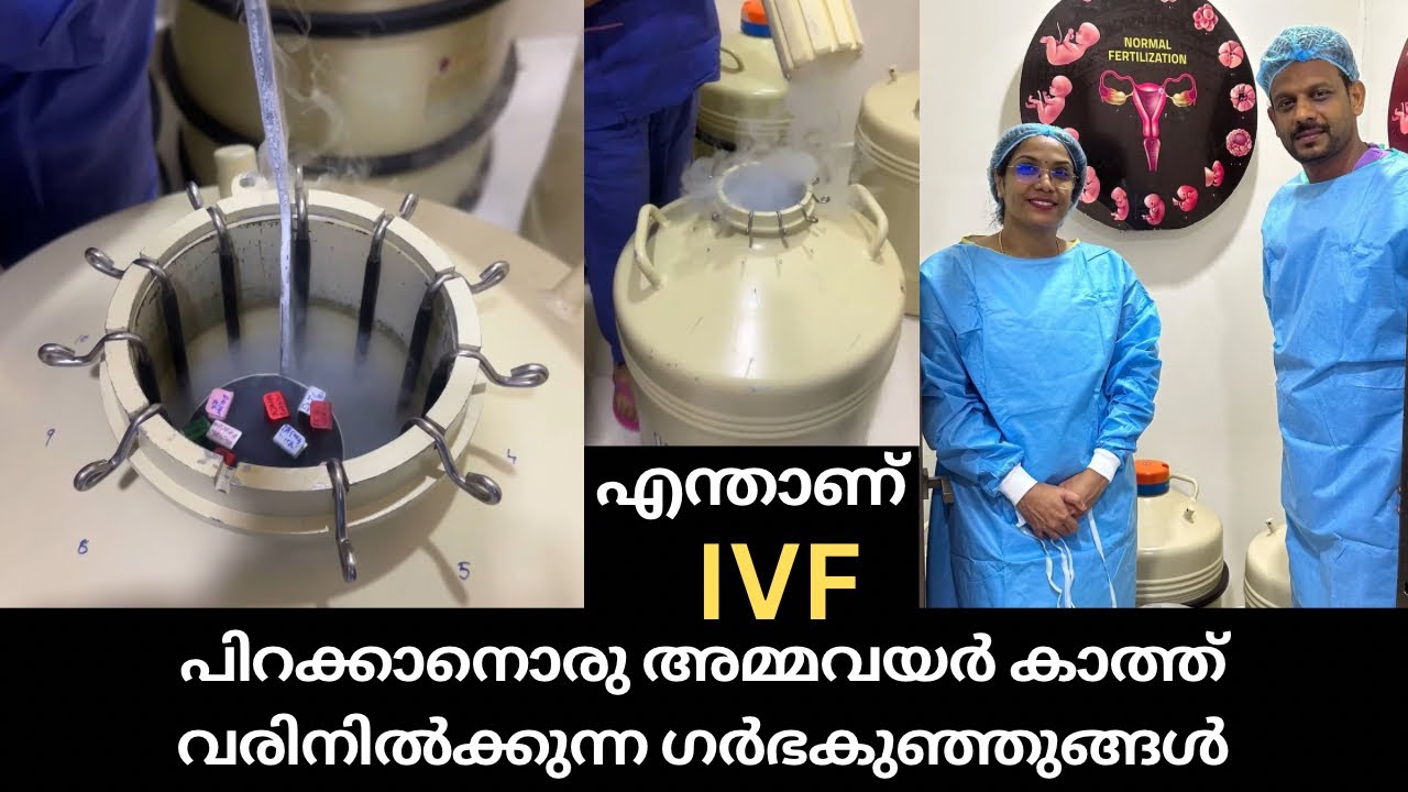 പിറക്കാനൊരു അമ്മവയർ കാത്ത് വരിനിൽക്കുന്ന ഗർഭകുഞ്ഞുങ്ങൾ | IVF treatment | IVF journey | IVF process